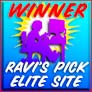 Award of elegance, 99web